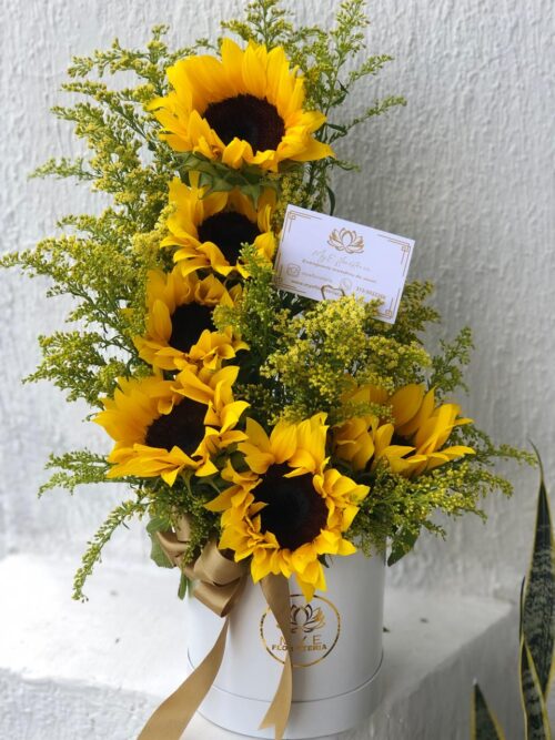 Media Luna Girasol